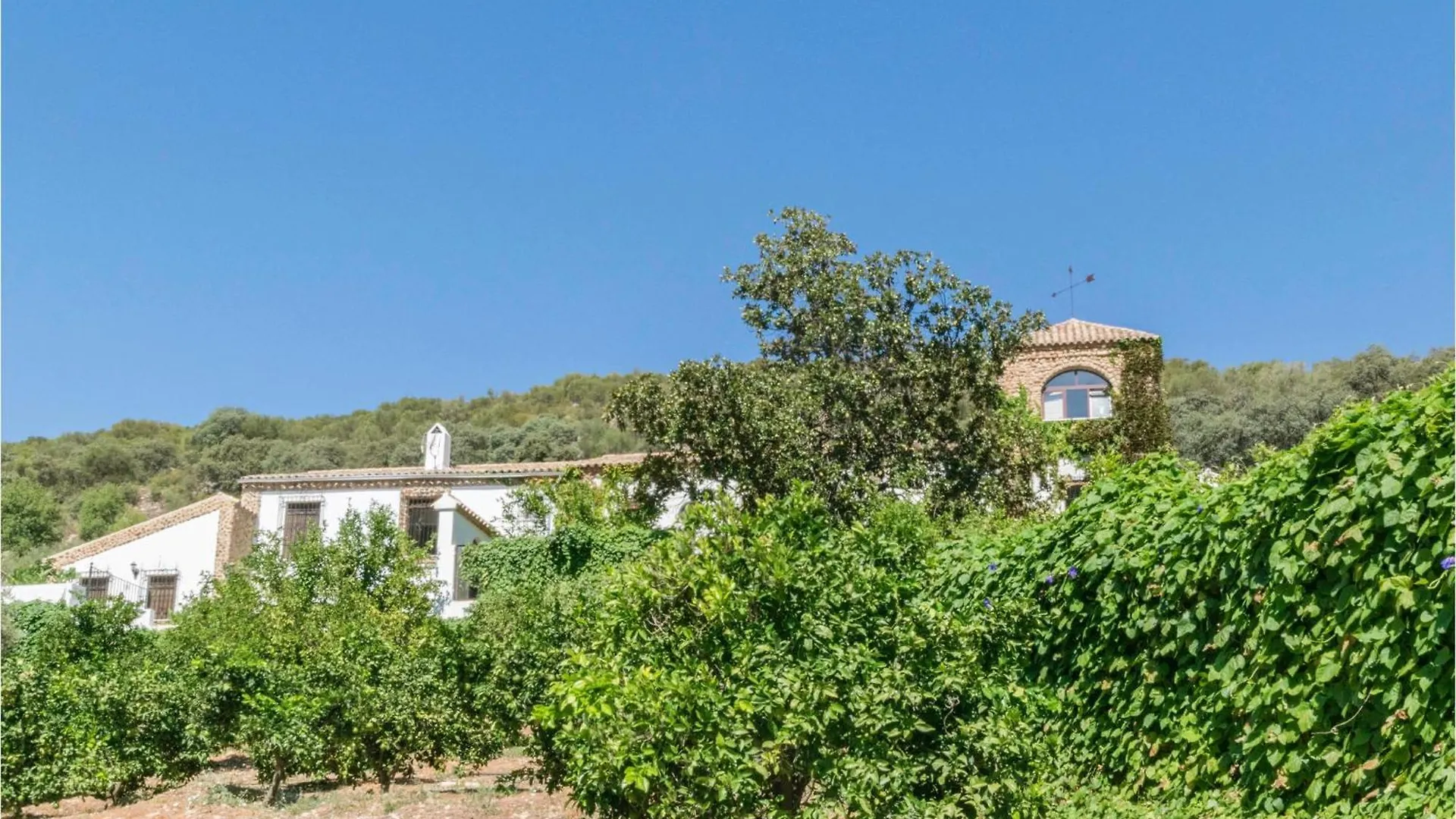 Nice Home In Carcabuey With House A Mountain View 0*,  Spain